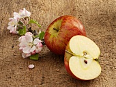 An apple, apple blossoms and half an apple