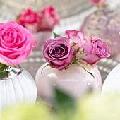 Pinkfarbene Rosen in Vasen