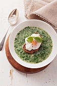 Spinach soup with a poached egg