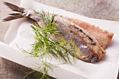 Soused herring with dill