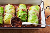 Cabbage wraps