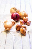 An arrangement of various onions