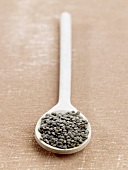 Green lentils on a spoon