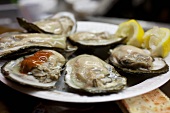 Oysters on the Half Shell at Faidleys Market in Baltimore Maryland