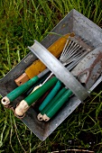 Various gardening tools in a metal basket