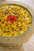 Yellow and red flowers floating on water in antique stone basin