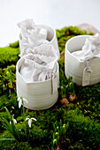 White porcelain pots with fabric bags on a bed of moss with spring flowers