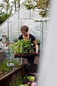 A woman carrying tomato plants out of a greenhouse
