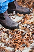 Person mit Gartenschuhen im Herbstlaub