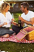 A couple drinking champagne whilst having a picnic
