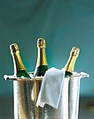 Bottles of champagne in an ice bucket