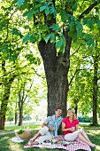 Paar beim Picknick unter einem Baum