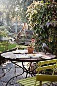 A bird stealing leftover food from a garden table