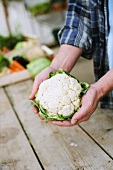 A person holding a cauliflower