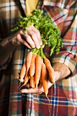 A man holding a bunch of fresh carrots