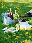 A picnic with champagne, mussels and grapes