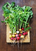 Various radishes