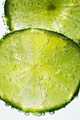 Lime slices in water (close-up)