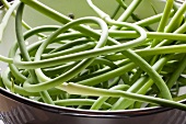 Fresh Garlic Scapes in a Colander (The Green Part of the Garlic Plant)