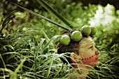 Boy Wood Nymph with Lime Headdress in Long Grass