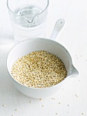 Quinoa in a Measuring Cup; Water in a Measuring Cup