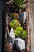 Succulents and stones in a DIY bed