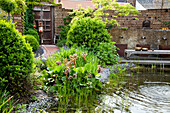 Pond with aquatic plants in a private ornamental garden