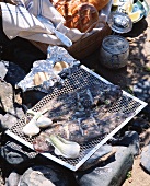 Fish and garlic on barbecue (Normandy, France)