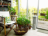 Wintergarten mit Stuhl, Pflanzen und Obstkorb