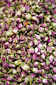 Dried rosebuds (filling picture)