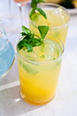 Orange lady cocktail with mint