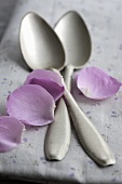 Two teaspoons with rose petals lying on table