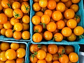 Yellow Cherry Tomatoes from Pennsylvania Farmers Market