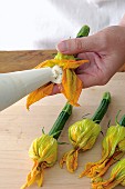 Courgette flowers being filled with ricotta