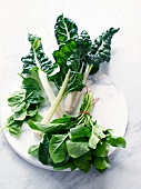 Fresh spinach and chard on the plate