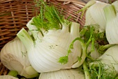 Fennel bulbs in a basket