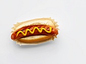A hot dog with mustard on a paper plate