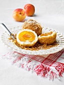 Apricot dumplings with icing sugar