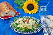 Rocket salad with tete de moine, chanterelle mushrooms and white bread