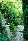 Well-kept garden path with stone slabs surrounded by greenery