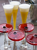 Mango and champagne cocktails and blackberry and champagne cocktails