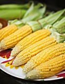 A plate of corn cobs for grilling