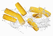 Corn on the cob with a water splash