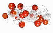 Tiger tomatoes with a water splash