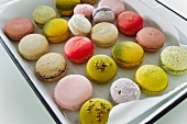 Various macaroons on a baking tray
