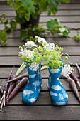 Gummistiefel mit Scabiosen, Frauenmantel und Möhren der Sorte Anthonina