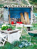 Alter Gartentisch mit Gemüse, Schubkarre und Geräteschuppen
