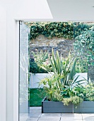 View of raised flowerbed through open glass door