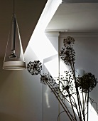 Dried seed heads and pendant lamp with glass shade