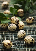 Quails' eggs and bay leaves